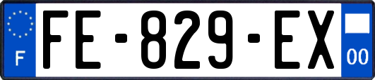 FE-829-EX