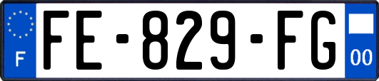 FE-829-FG