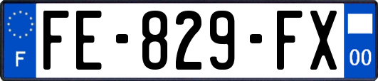 FE-829-FX