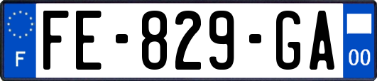 FE-829-GA