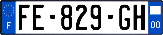 FE-829-GH