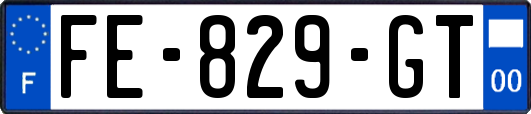 FE-829-GT