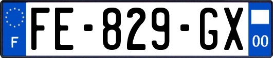 FE-829-GX