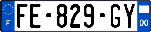 FE-829-GY
