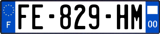 FE-829-HM