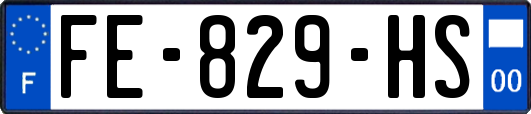 FE-829-HS