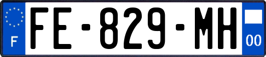 FE-829-MH