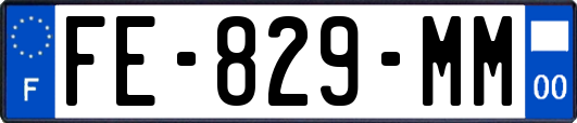 FE-829-MM
