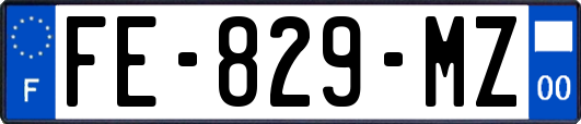 FE-829-MZ