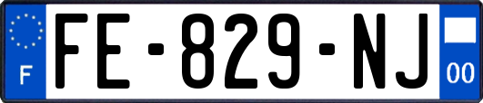 FE-829-NJ