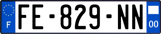FE-829-NN