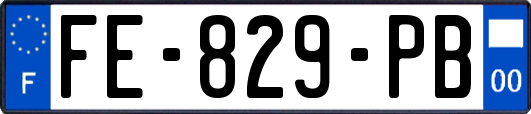 FE-829-PB