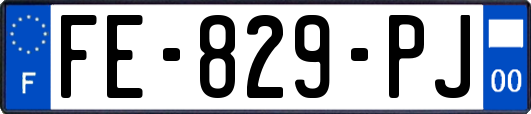 FE-829-PJ