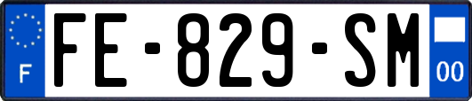 FE-829-SM
