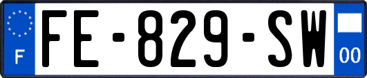 FE-829-SW