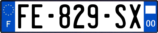 FE-829-SX