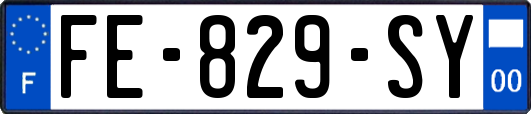 FE-829-SY