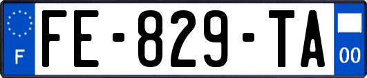 FE-829-TA