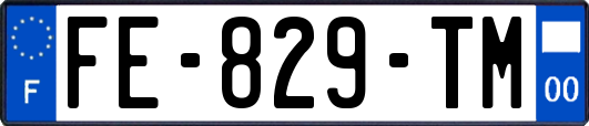 FE-829-TM