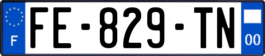 FE-829-TN