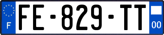 FE-829-TT