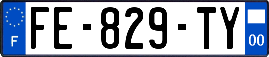 FE-829-TY