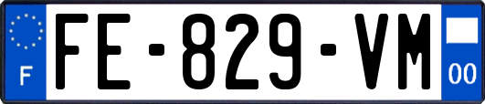 FE-829-VM