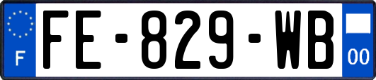 FE-829-WB