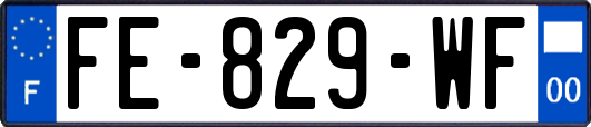 FE-829-WF