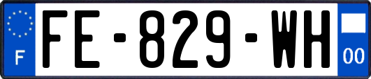 FE-829-WH