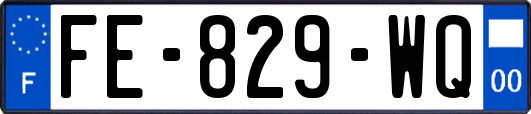 FE-829-WQ