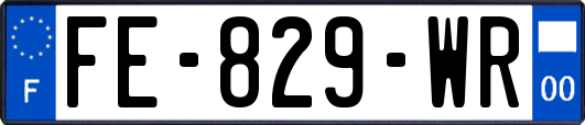 FE-829-WR