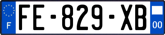 FE-829-XB