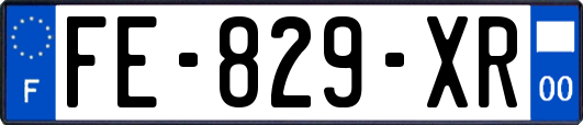 FE-829-XR