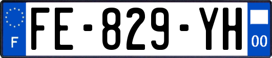 FE-829-YH