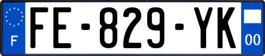 FE-829-YK