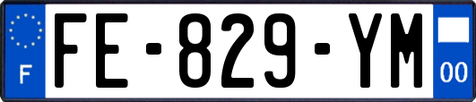 FE-829-YM