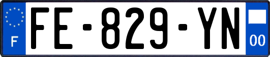 FE-829-YN