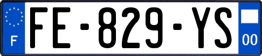 FE-829-YS