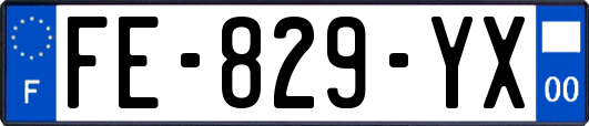 FE-829-YX