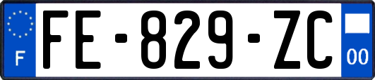 FE-829-ZC