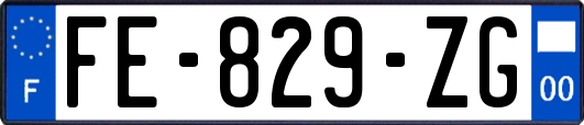 FE-829-ZG