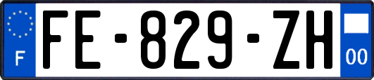 FE-829-ZH