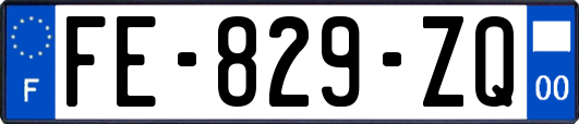 FE-829-ZQ