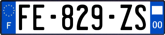 FE-829-ZS