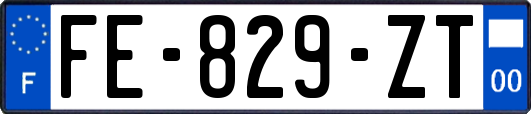 FE-829-ZT