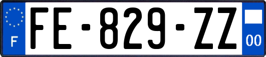 FE-829-ZZ