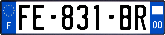 FE-831-BR