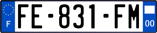 FE-831-FM