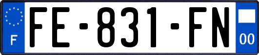 FE-831-FN